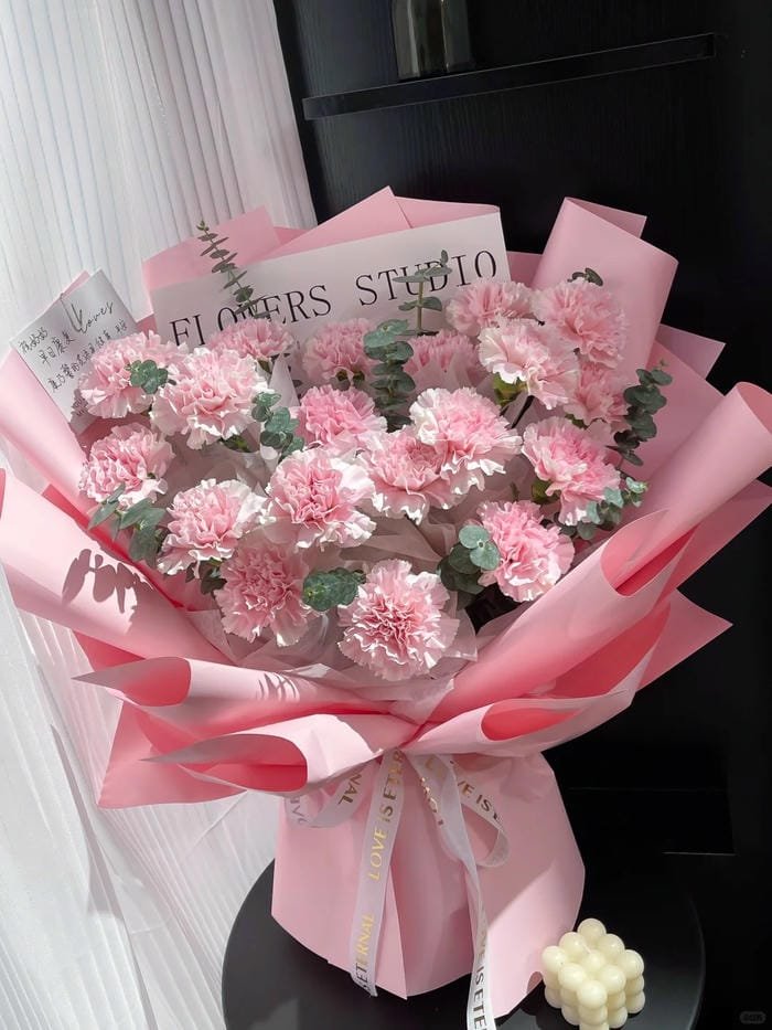 hình ảnh hoa cẩm chướng 16