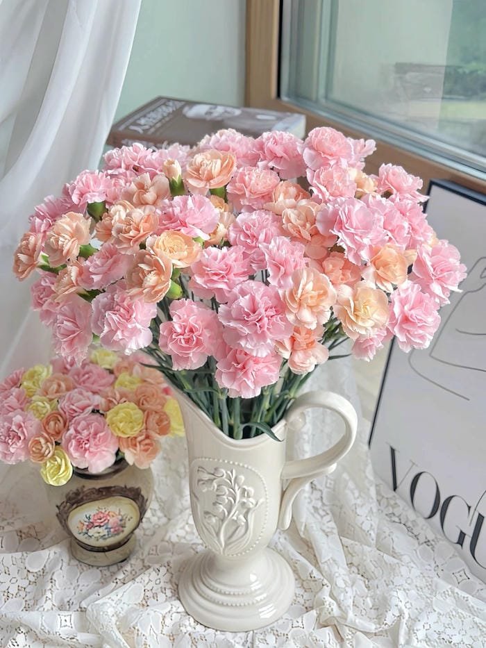 hình ảnh hoa cẩm chướng 33