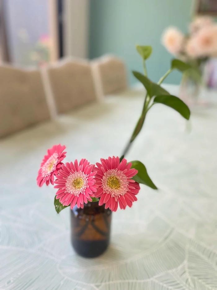 hình ảnh hoa đồng tiền 29