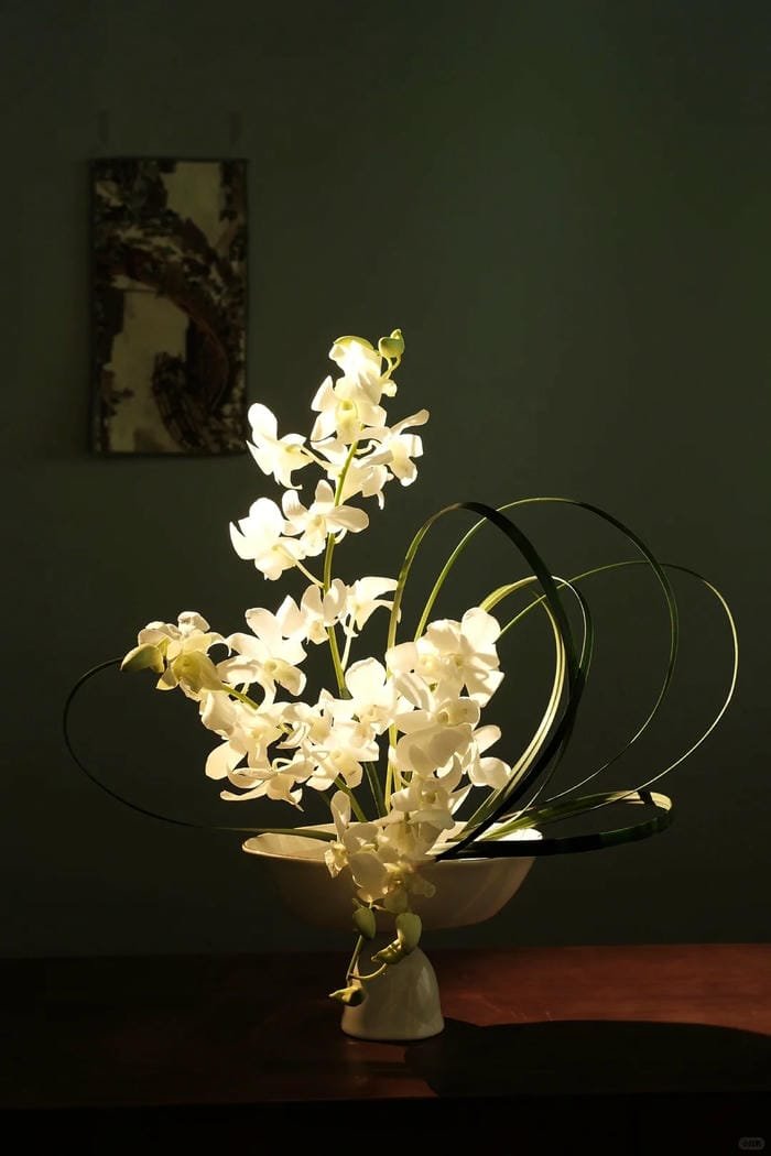 hình ảnh hoa lan 10