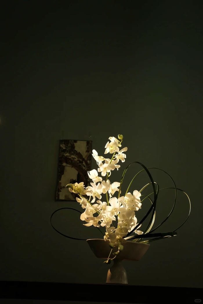 hình ảnh hoa lan 11