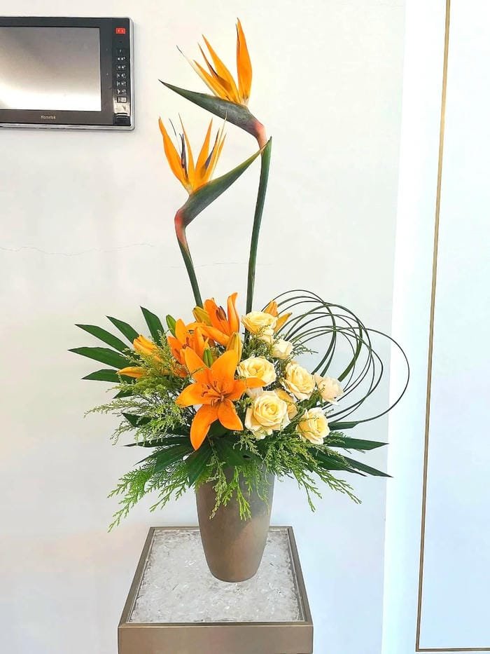hình ảnh hoa thiên điểu 3
