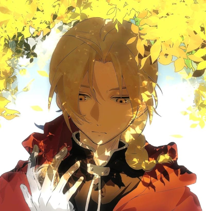 hình ảnh Edward Elric 4