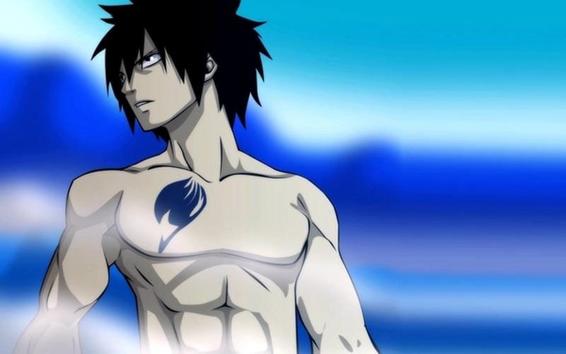 hình ảnh Gray Fullbuster 16