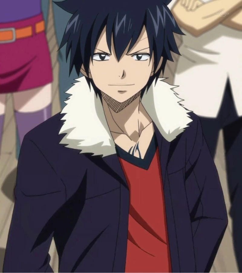 hình ảnh Gray Fullbuster 24