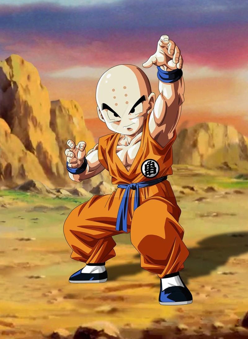 Hình ảnh Krillin 13