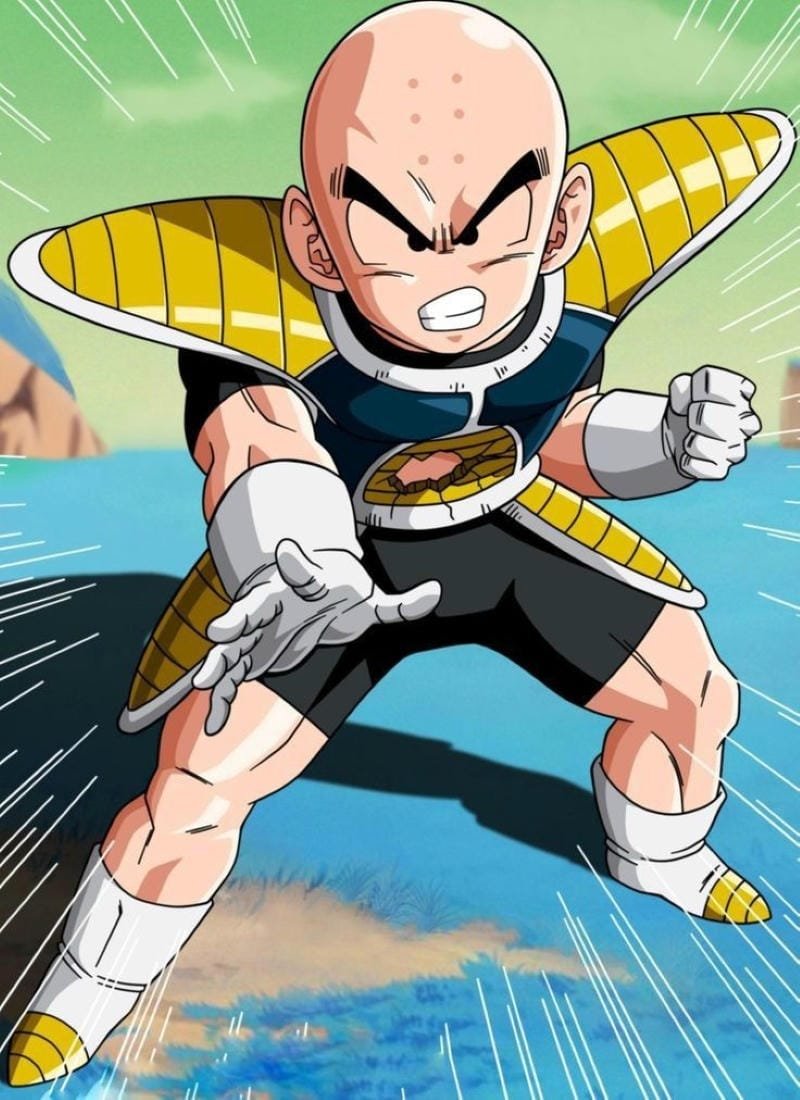 Hình ảnh Krillin 17