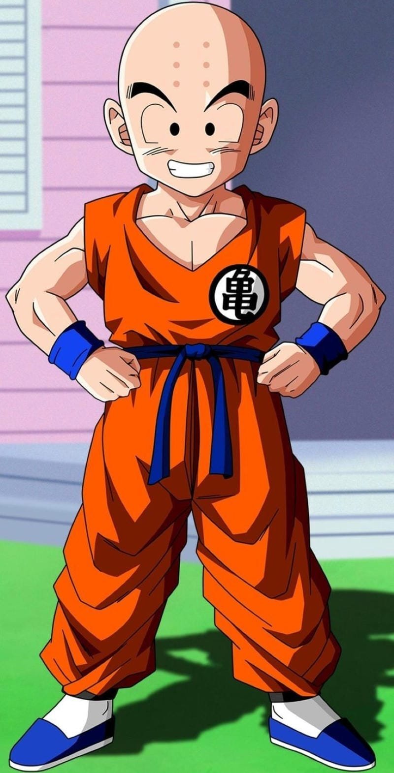 Hình ảnh Krillin 18