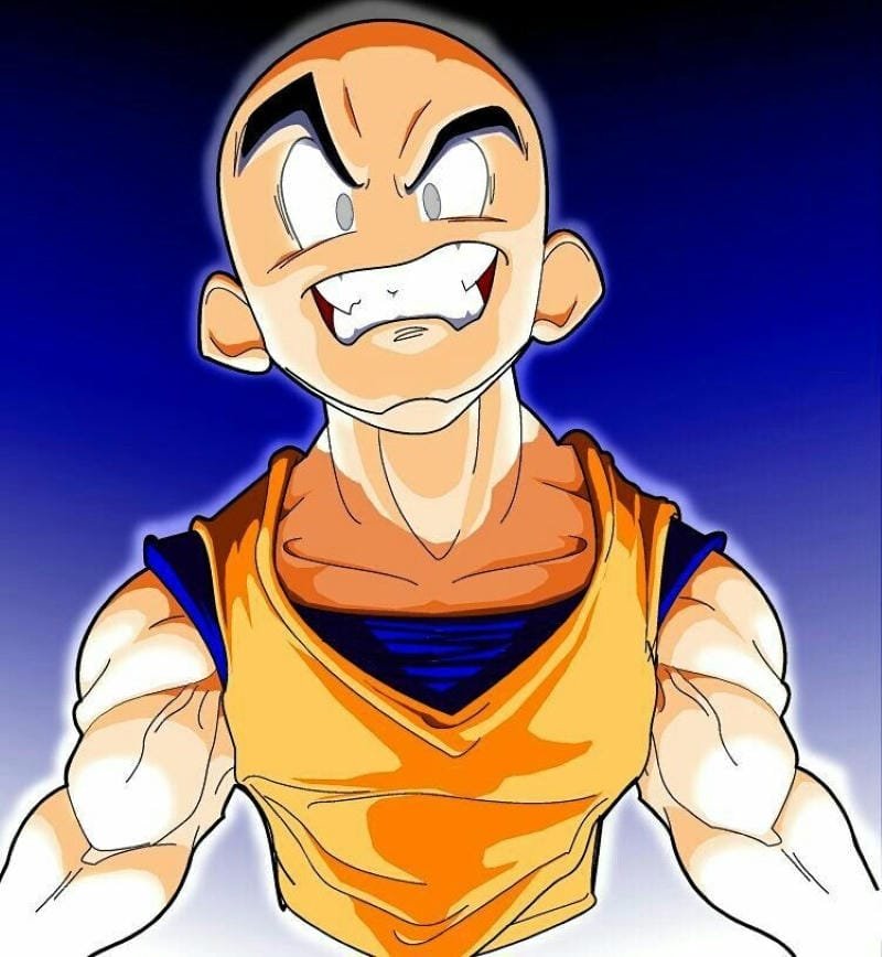 Hình ảnh Krillin 21