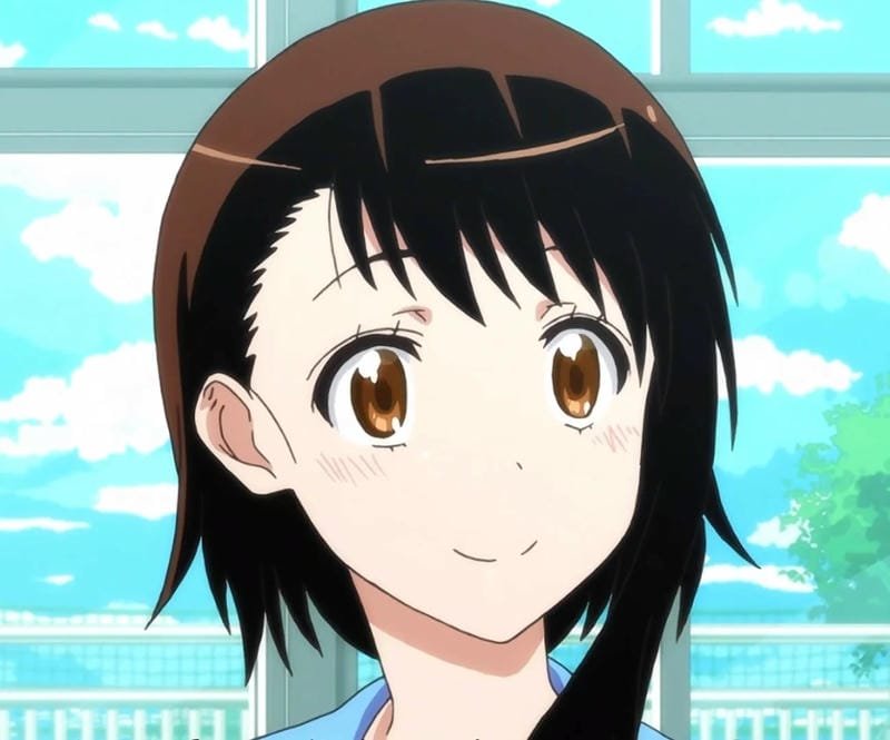 hình ảnh Onodera Kosaki 17