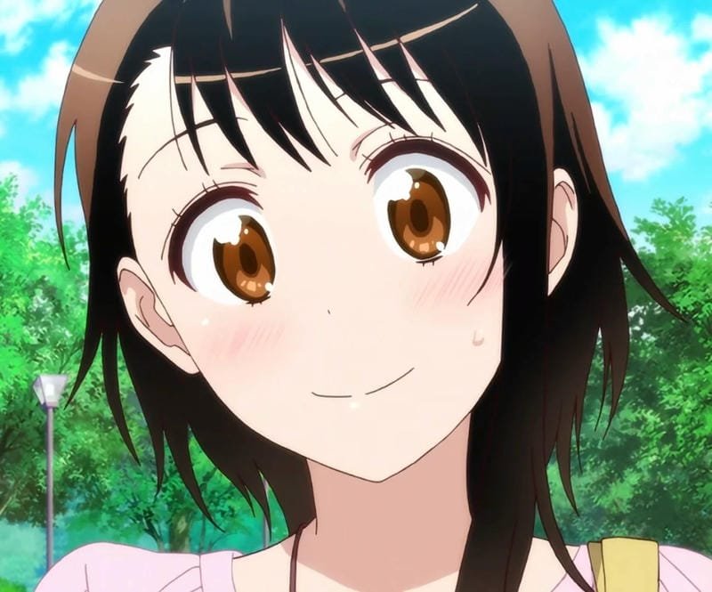 hình ảnh Onodera Kosaki 18