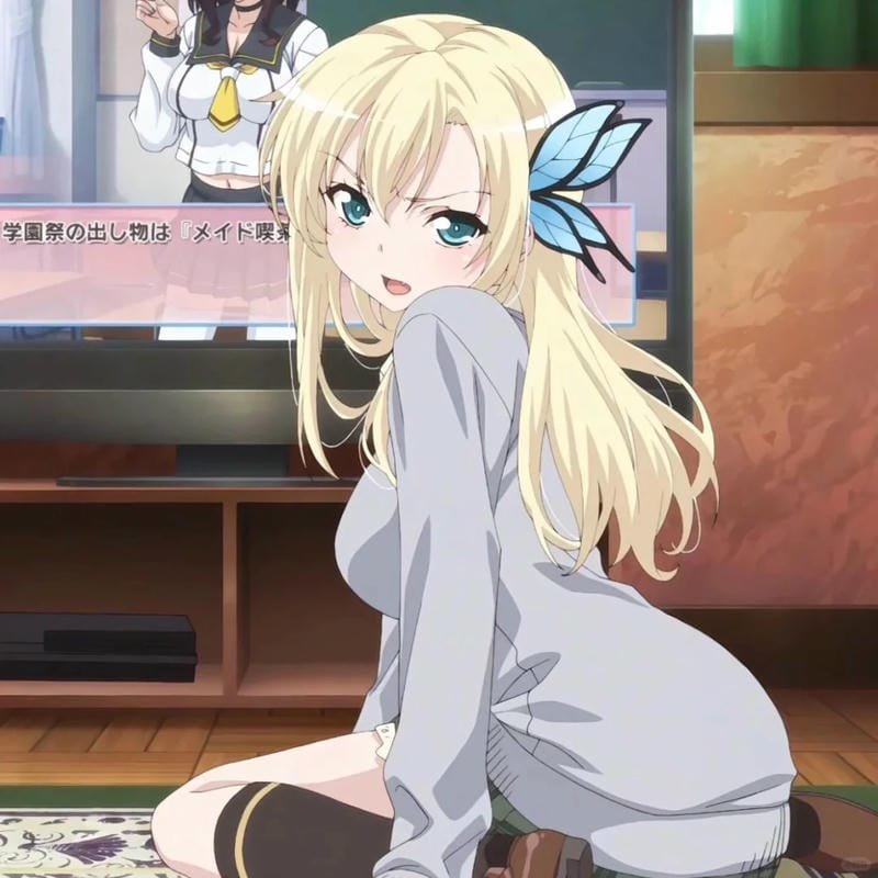 hình ảnh Sena Kashiwazaki 13