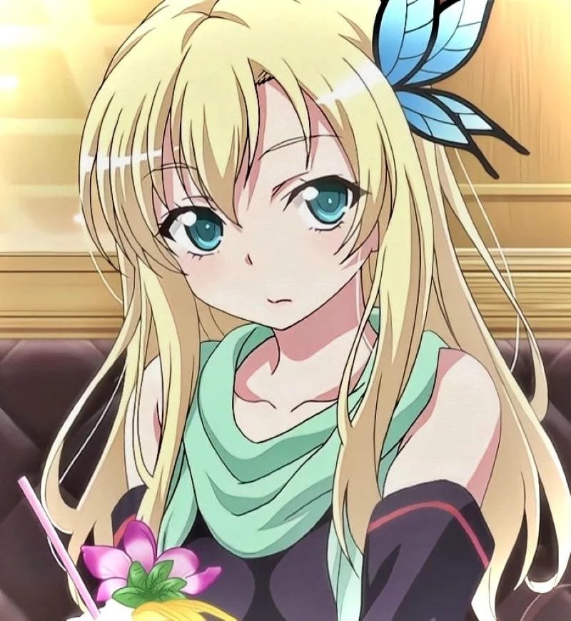 hình ảnh Sena Kashiwazaki 14