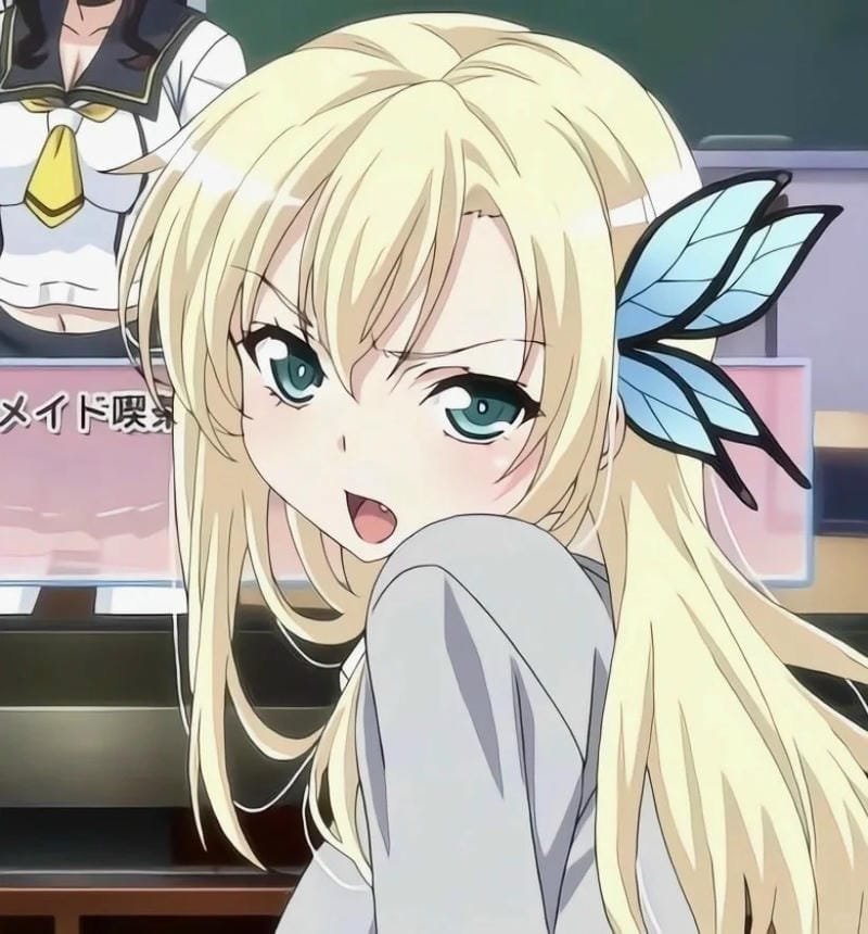 hình ảnh Sena Kashiwazaki 15