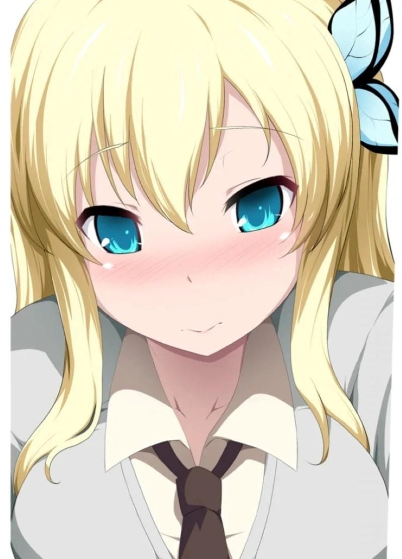 hình ảnh Sena Kashiwazaki 25