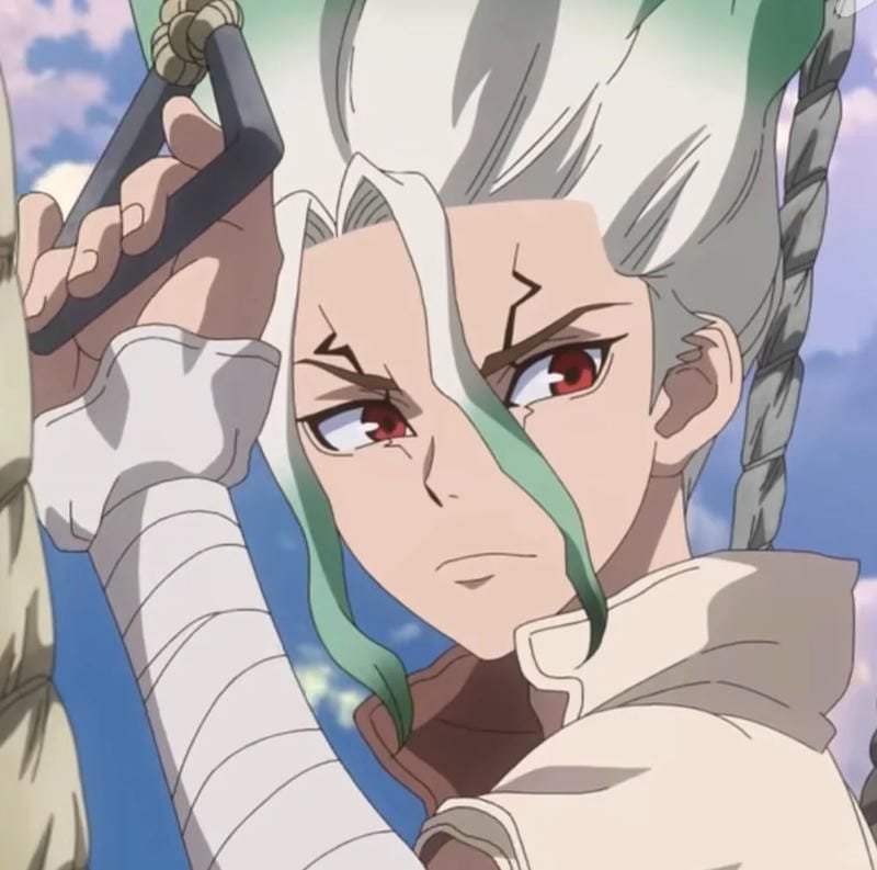 hình ảnh Senku Ishigami 13