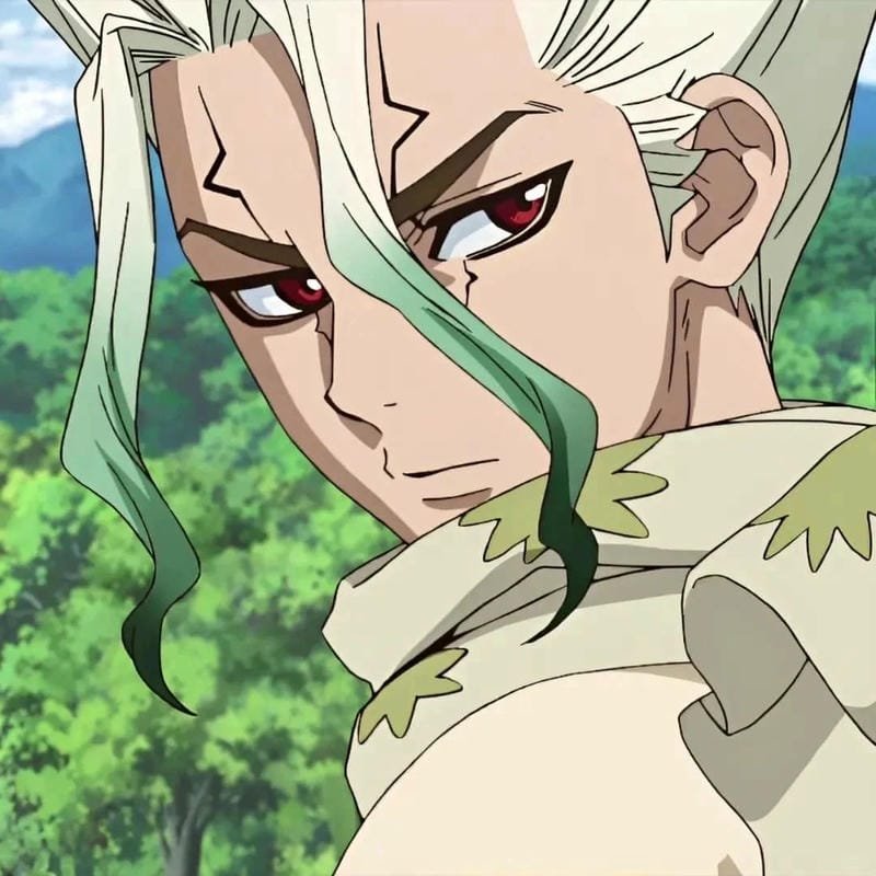 hình ảnh Senku Ishigami 14