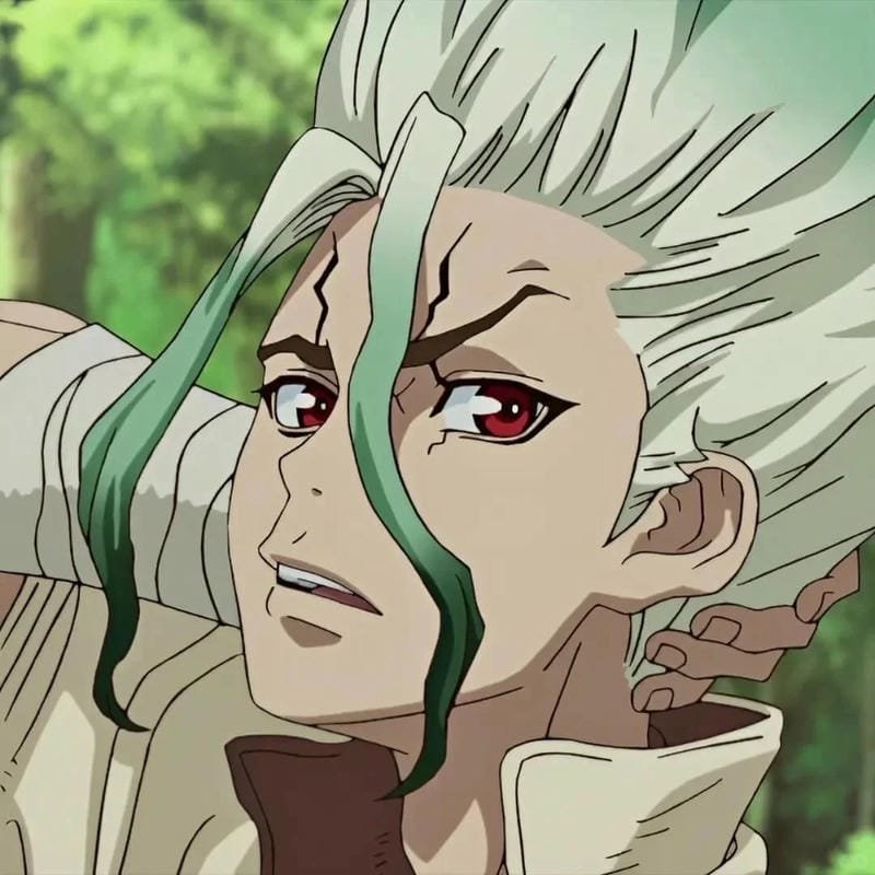 hình ảnh Senku Ishigami 15