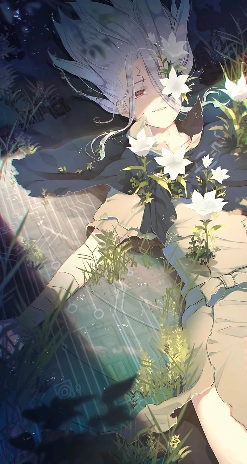 hình ảnh Senku Ishigami 20