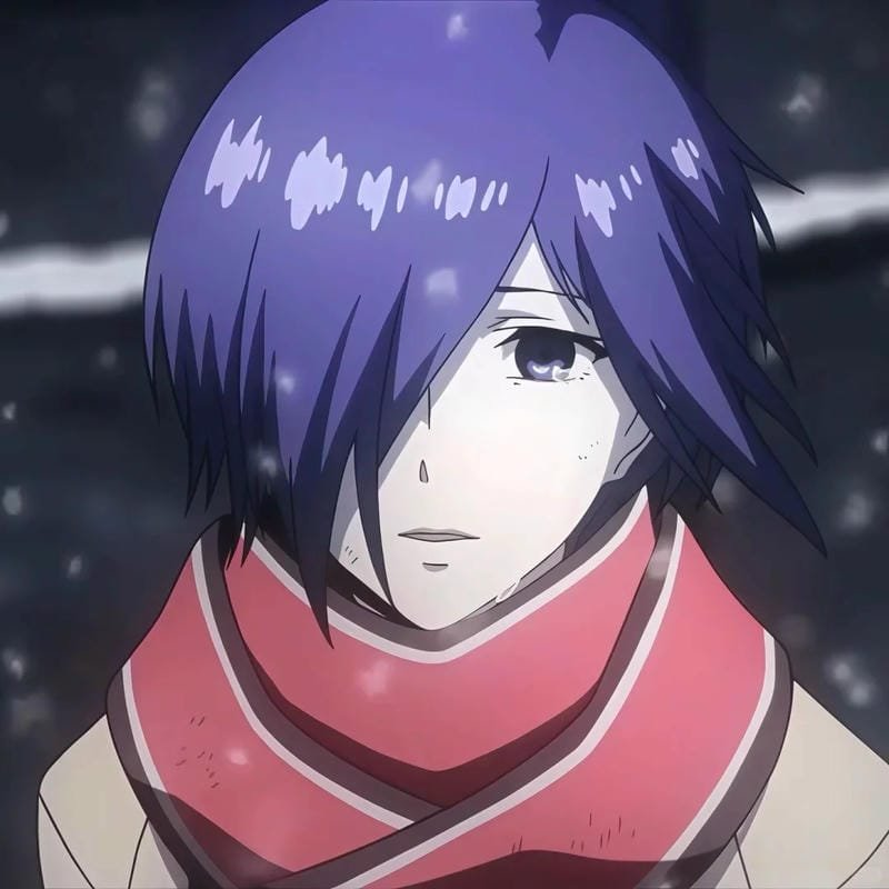 hình ảnh Touka Kirishima 7