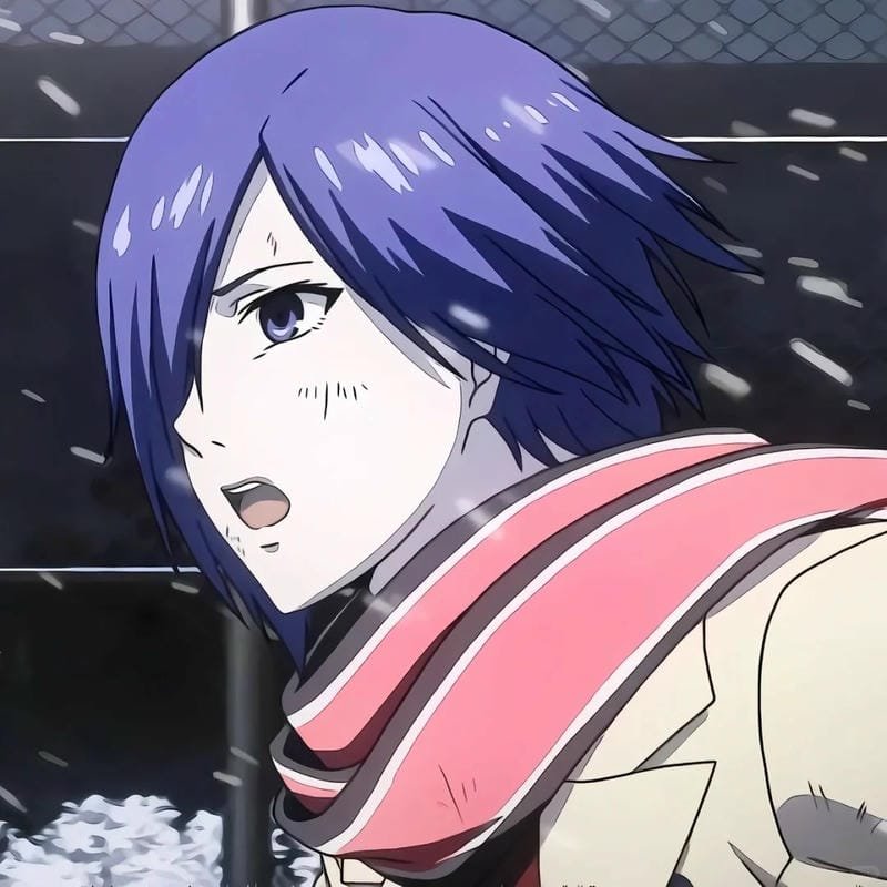 hình ảnh Touka Kirishima 8